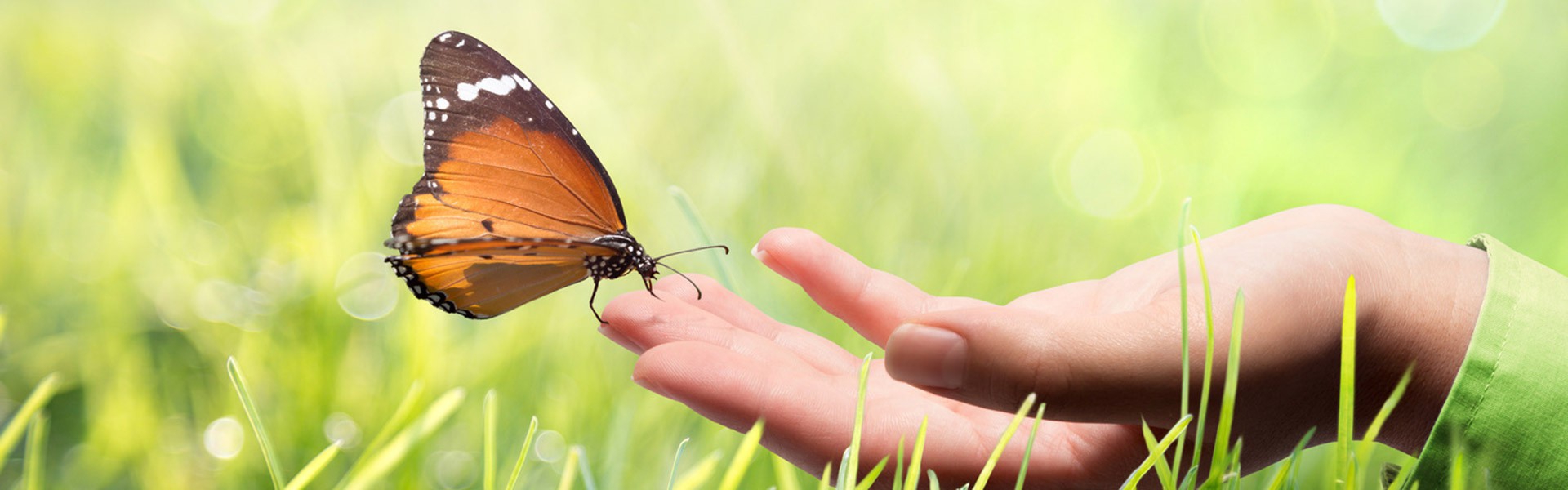 Fotolia_60549636_Subscription_Monthly_M